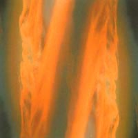 The First Lessons in New Era Time...